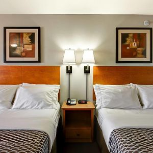 Two Queen Beds Sofa Bed